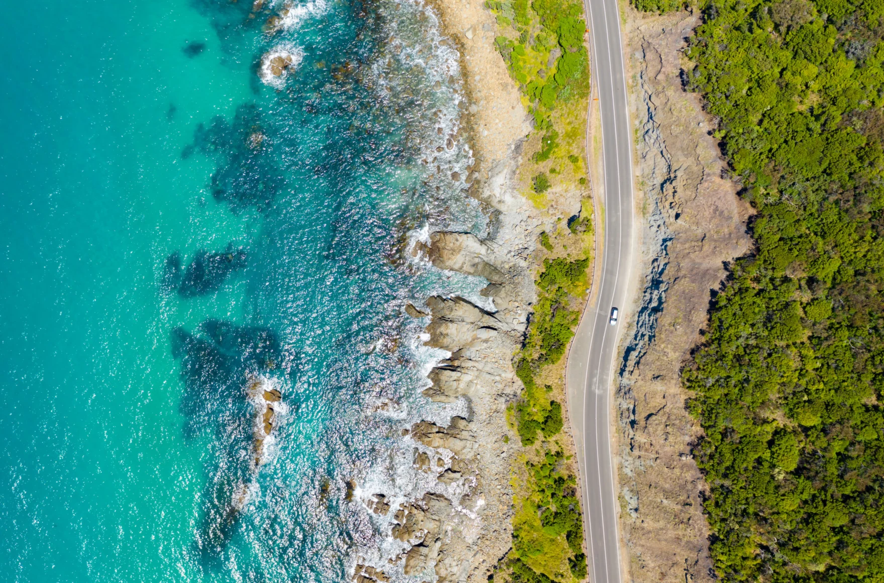 Australia’s economic outlook: market insights for January 2026
