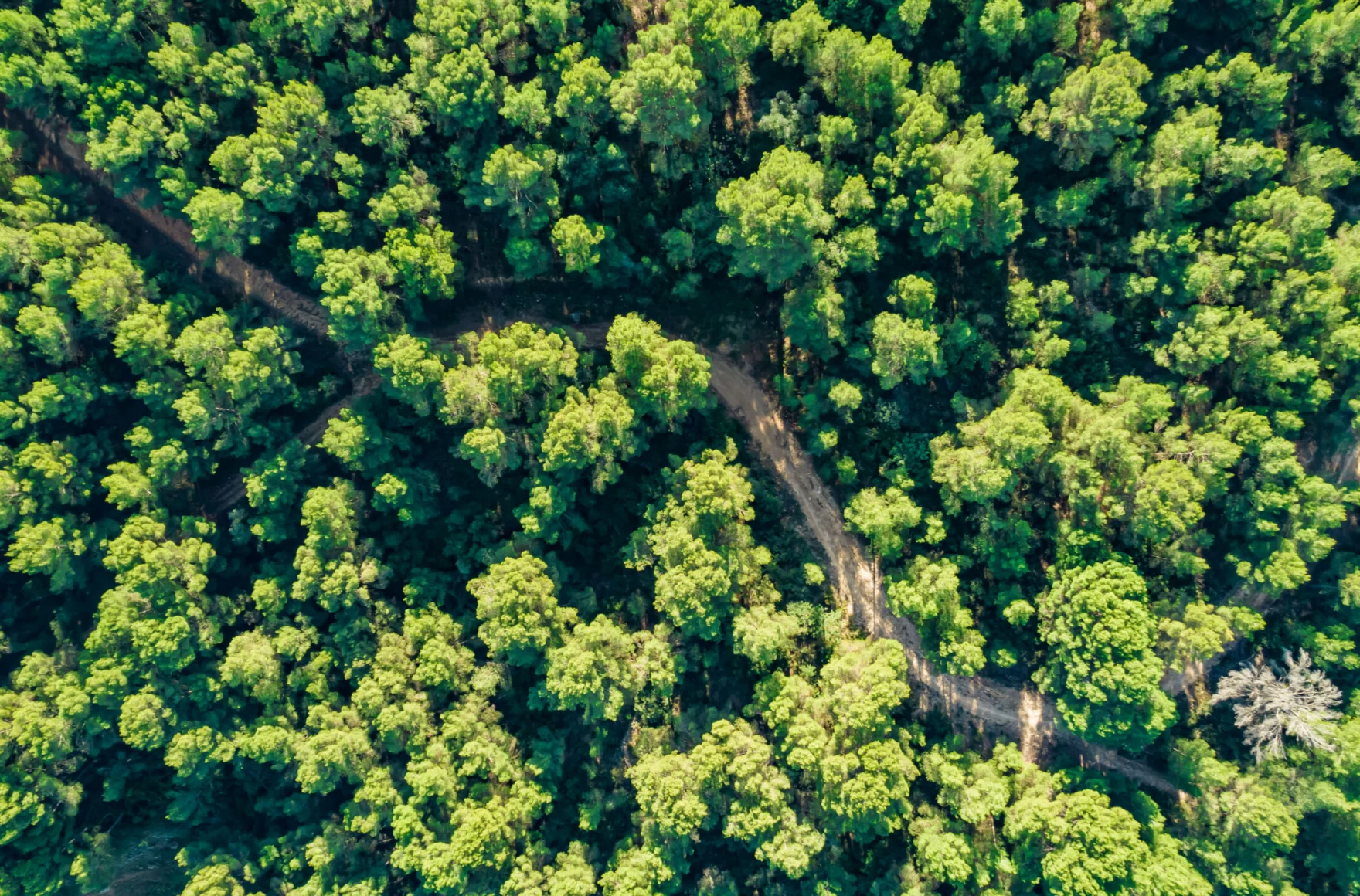 Transitioning to an environmentally sustainable economy: Climate reporting is now law