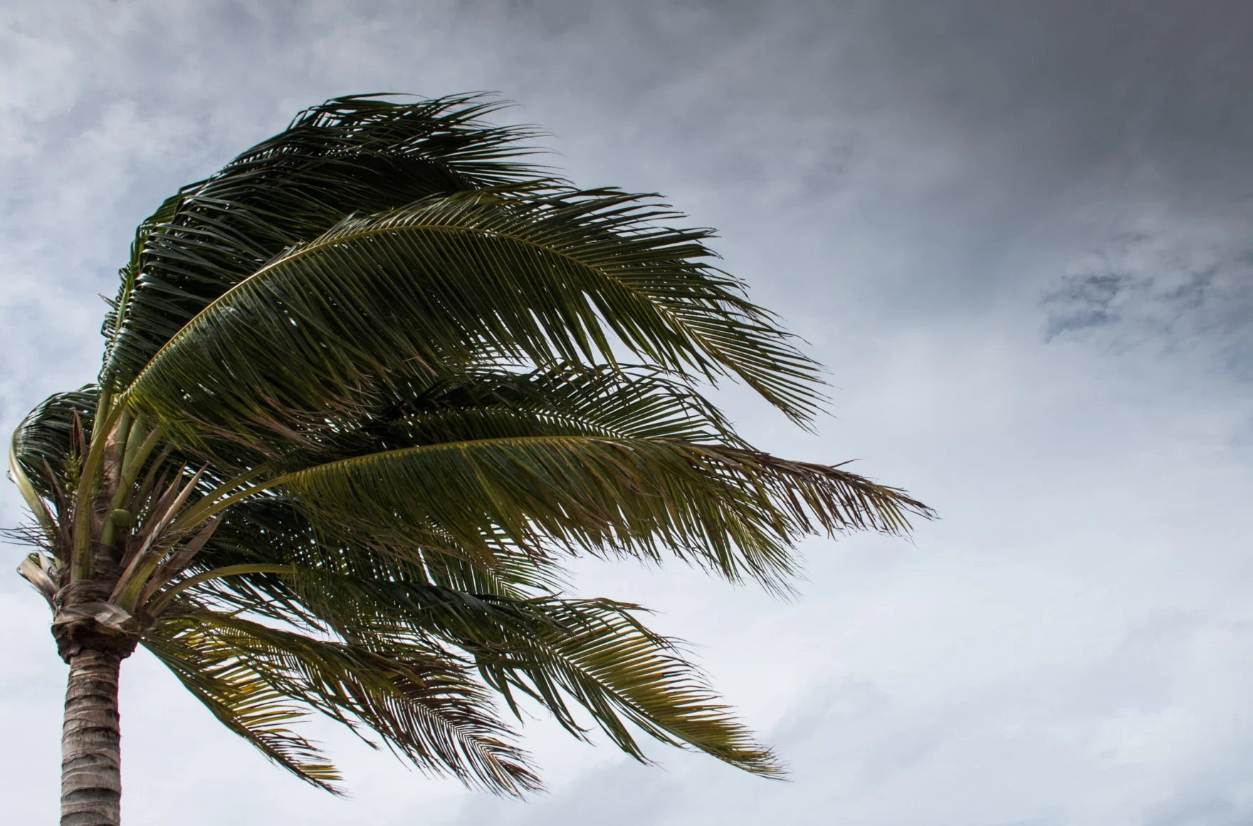 Hurricane Helene’s unexpected impact on Australian investments