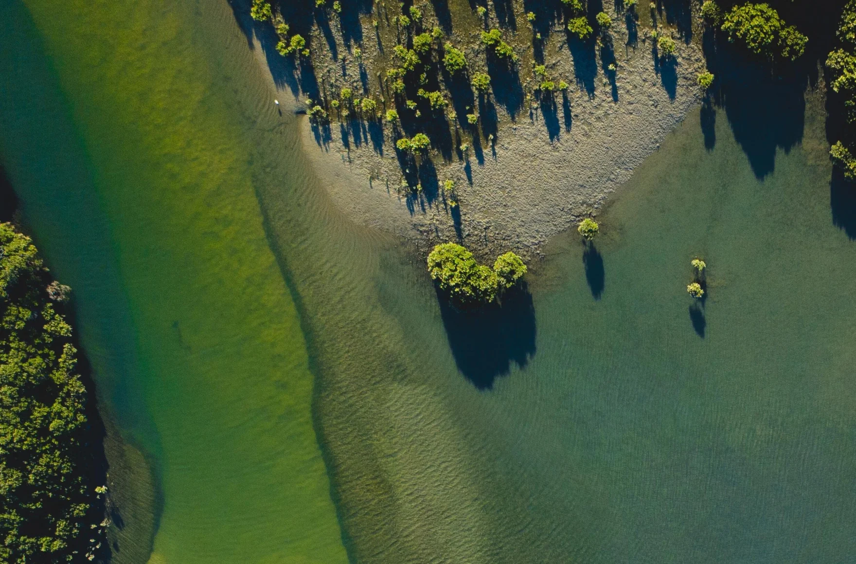Considering impact: Melbourne’s 2024 sustainability report