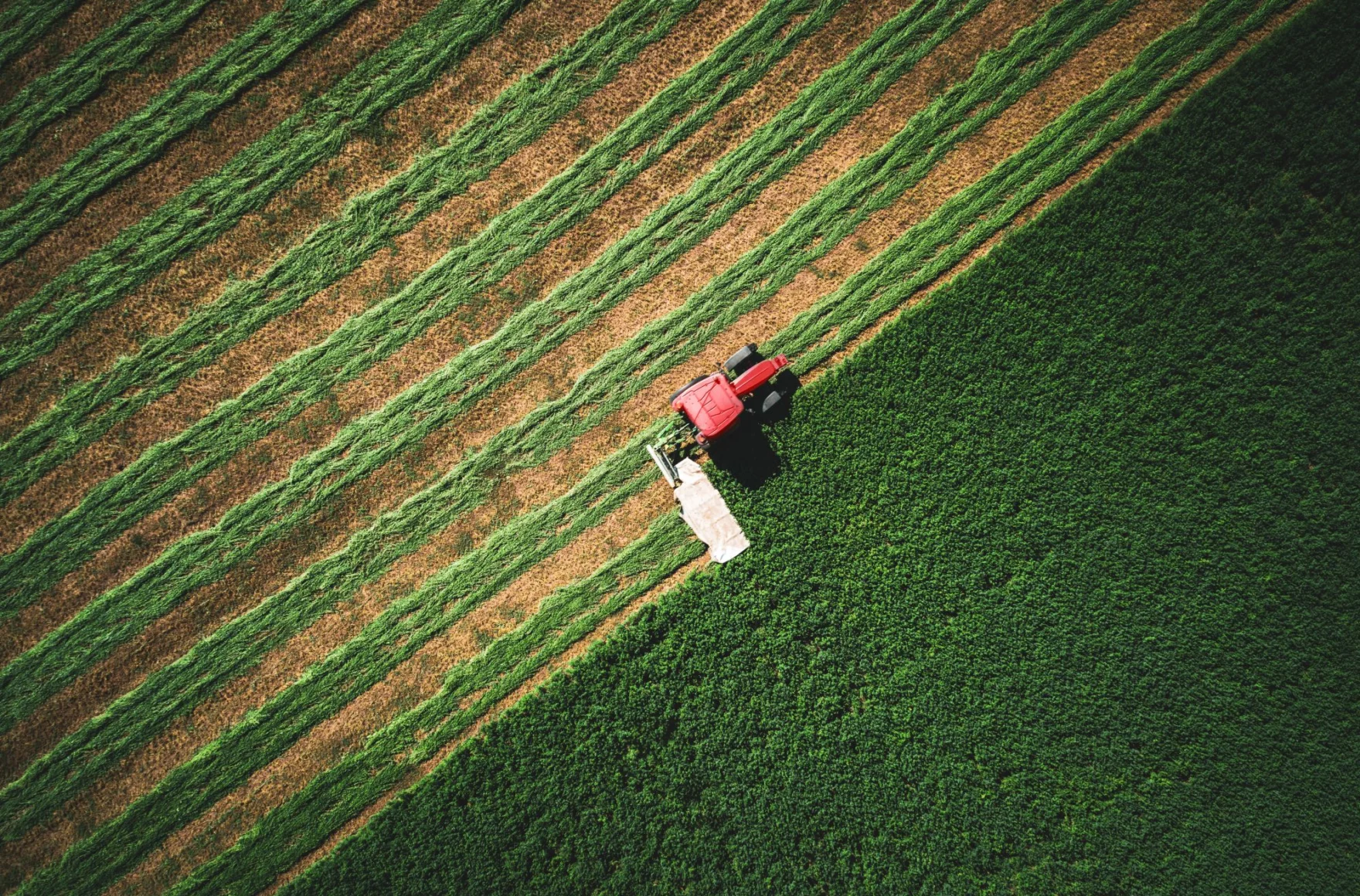 Farmer wins Federal Court case to claim tax-free profits from large-scale land subdivision