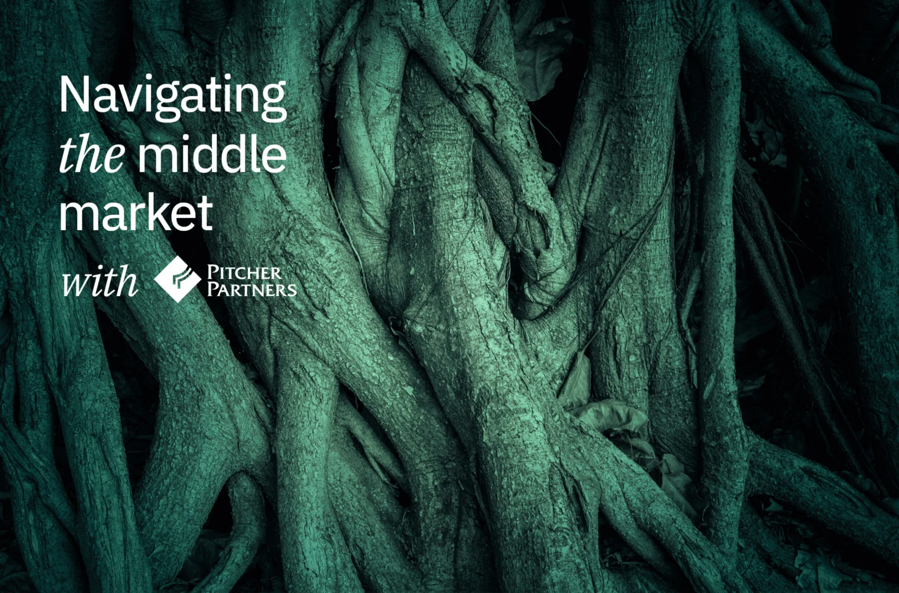 Podcast: Trusts, succession and family law in family business