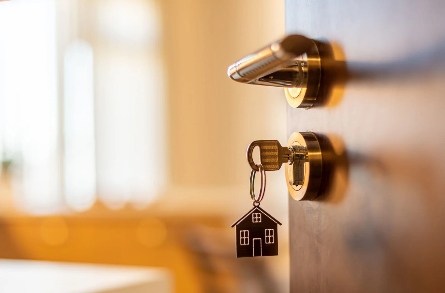 CGT and Negative Gearing Tranche 2 legislation submission