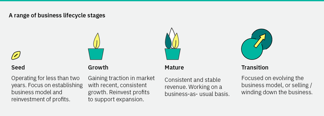 A range of business lifecycle stages: Seed (<2years operating), Growth (Gaining traction), Mature (consistent and stable), Transition )focus on evolving)