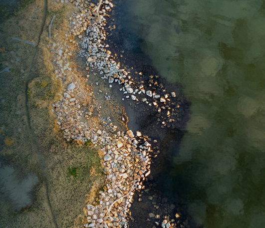 Impact update: Pitcher Partners Melbourne 2025 Sustainability Review